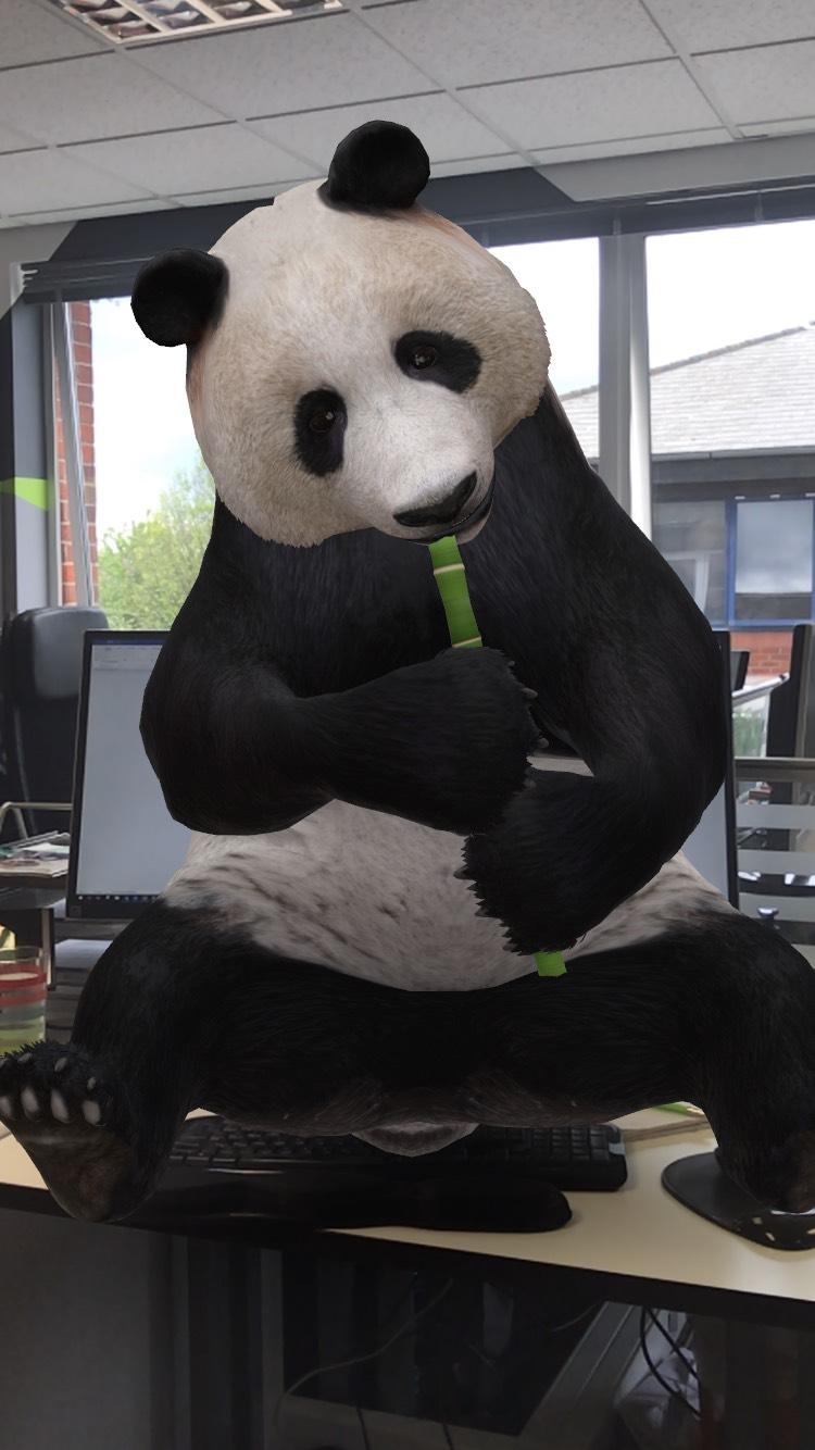 Download Animals 3D Ar Panda Gif